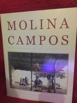 Molina Campos
