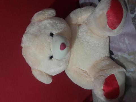 Oso de peluche