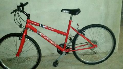 Bicicleta Un Solo Uso Exc Estado