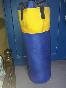 Bolsa De Entrenamiento