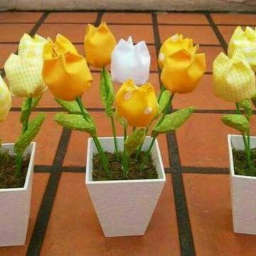Macetas de tulipanes y/o corazones