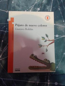 Libro Pájaro de Nueve Colores