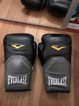 Everlast Boxing Gloves