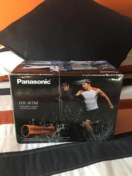 Vendo Camara Portatil Panasonic