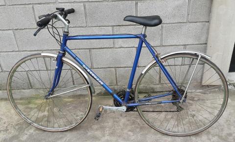 Bicicleta Pinarello Treviso Cuadro 55