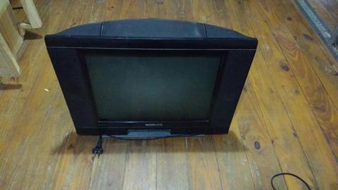 Televisión Marca Noblex, con Control