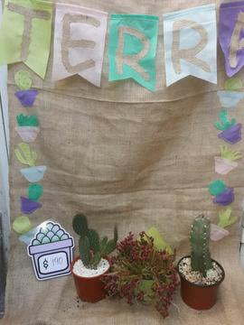 VDO.CACTUS Y SUCULENTAS