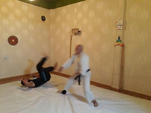 Vendo Tatami