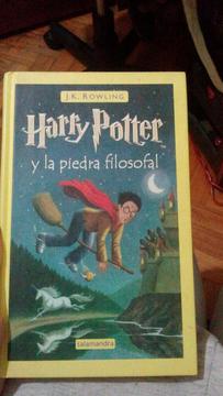 Harry Potter Y La Piedra Filosofal