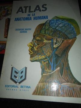 Atlas De La Anatomía Humana Alejandro Lanoel