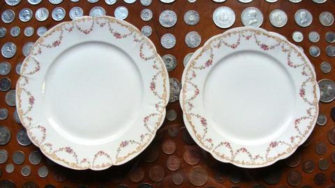 Dos platos de porcelana Limoges, Francia