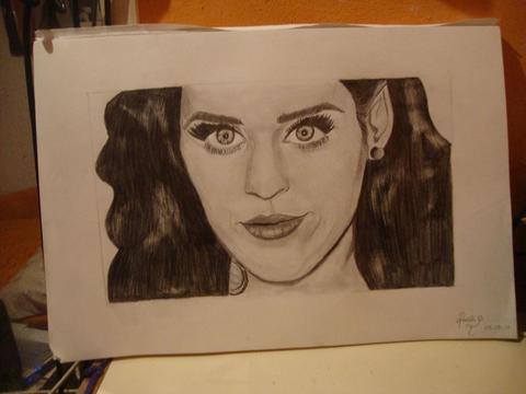 Retratos a lapiz por encargo