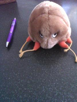 peluche garrapata