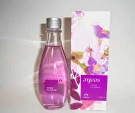 Perfume Campo de Violetas Nuevo