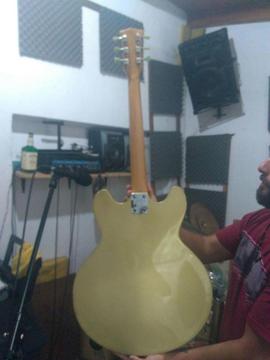 Vendo Guitarra Electrica FAIM 335