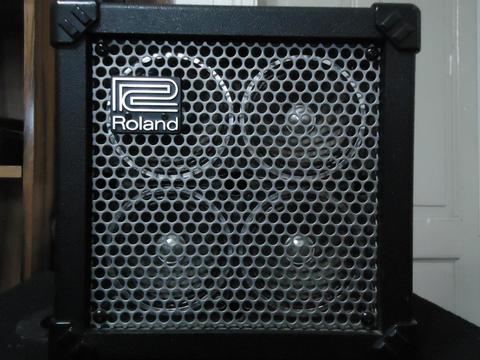 Amplificador Roland Micro Cube Rx 4 Parlantes