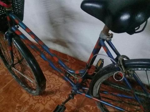 Bicicleta Rodado 26