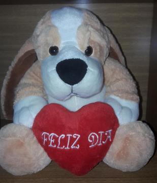 Peluche Feliz Dia❤ 25x20cm