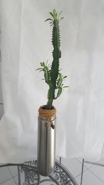 Vendo Cactus Enmaceta Original de Metal