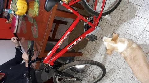 Vendo bicicleta todo terreno Marca Halley