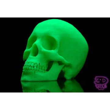 Calaveras impresas en 3D