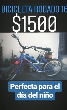 BICICLETA RODADO 16