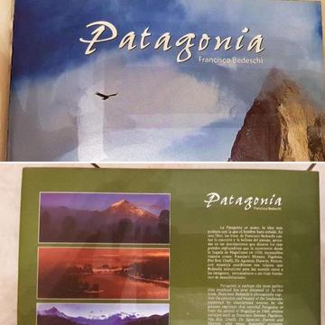 Libro de la Patagonia Argentina Ramos Mejia. $230