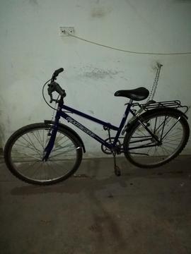 Bicicleta de Paseo