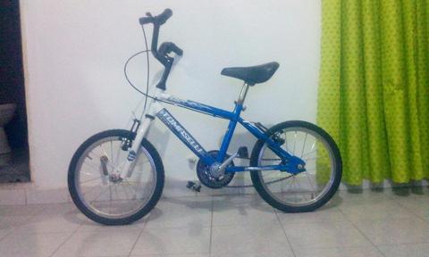 Vendo Bicicleta Tomaselli Roda 14 Niño