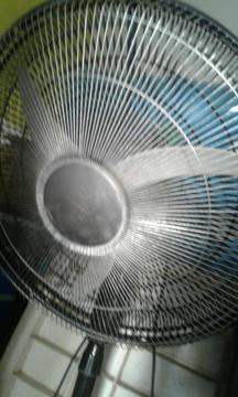 Ventilador Liliana