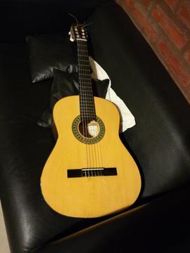 Guitarra Dtla