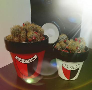Macetas Decoradas con Cactus