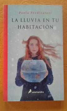 Libro La Lluvia en Tu Habitacion