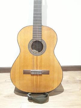 Guitarra Fonseca P25