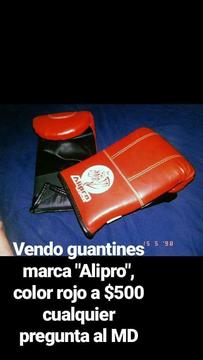 GUANTINES MARCA ALIPRO COMO NNUEVOS
