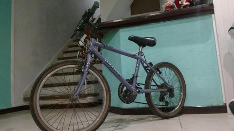 Bicicleta Rodado 20 con Cambios Shimano