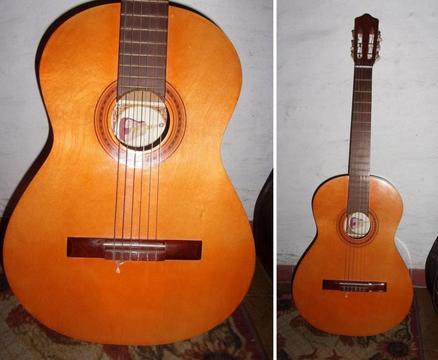 Guitarra Fonseca con funda