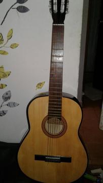 Vendo Guitarra Nueva