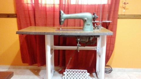 Maquina recta de coser singer 3115