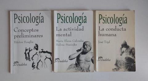 Lote De 3 Libros Psicologia Eudeba Scaglia Colombo Topf