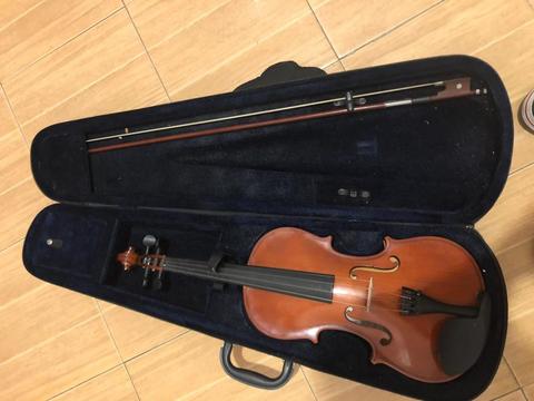 Violin 44 usado