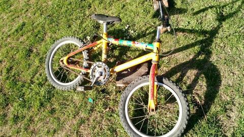 Bicicleta Rodado 16