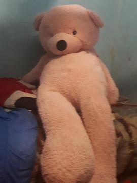 Peluche Gigante