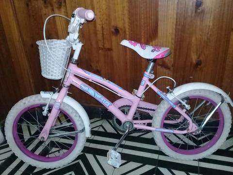 Bicicleta de Nena Muy Buen Estado
