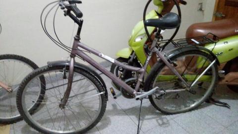 Bicicleta de Dama