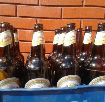 Botellas Vacias de Cerveza