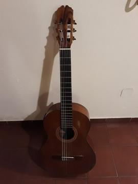 Guitarra Electrocriolla Antigua