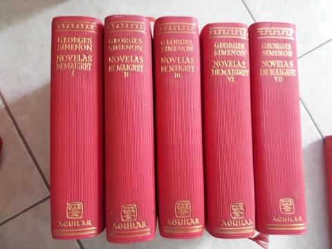 Novelas Demaigret