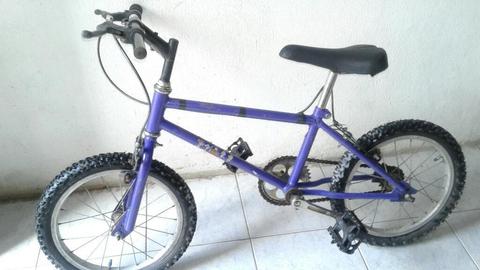 Bicicleta Rodado 16