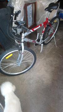 Bicicleta Tomaselli R26